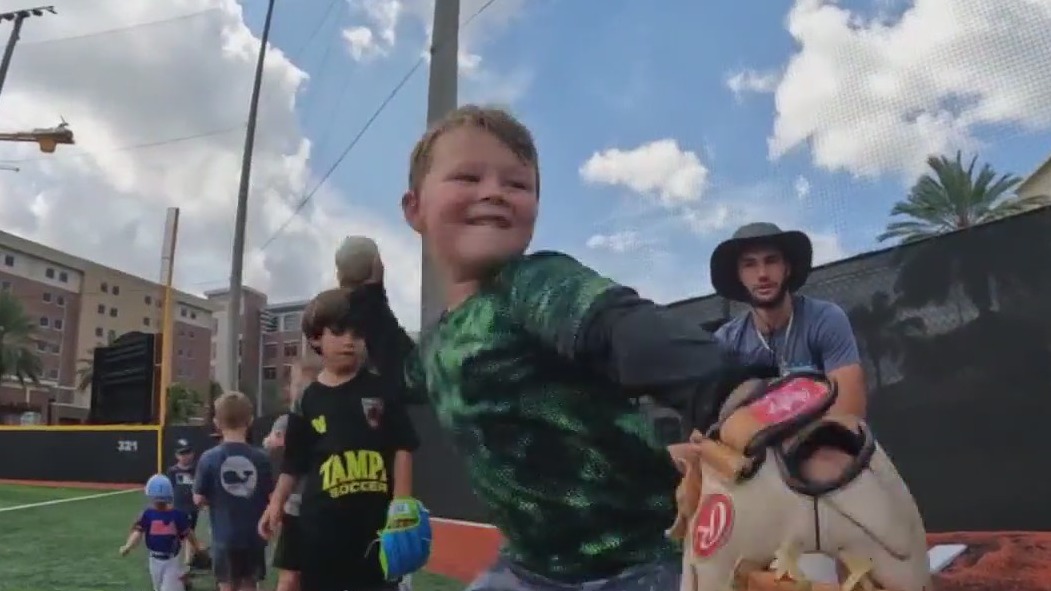 University of Tampa baseball camp for kids